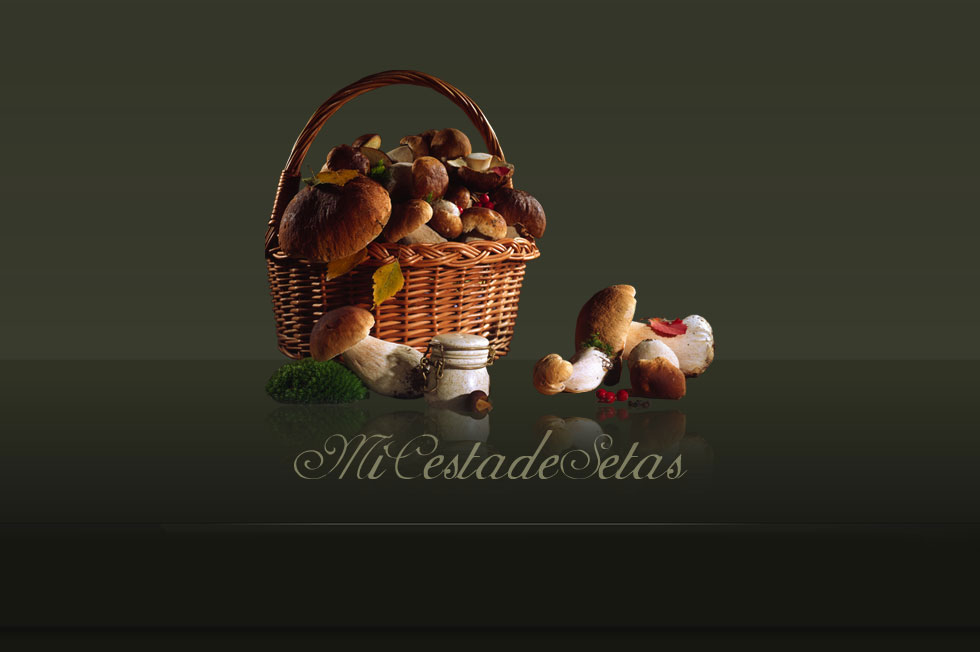 Mi Cesta de Setas