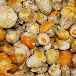 Huevo de Rey Congelado cerrado