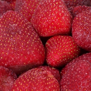 Fresas congeladas