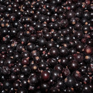 Grosellas Negras Congeladas