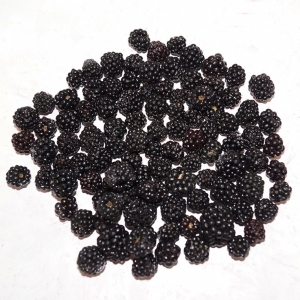 Moras Congeladas
