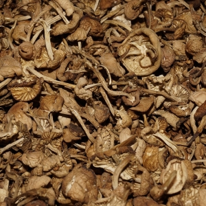 Senderuela Deshidratada Entera