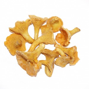 Rebozuelo Congelado Entero