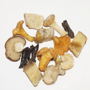 Mezcla forestal congelada