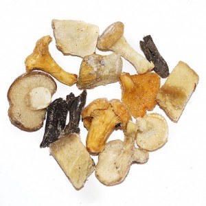 Mezcla forestal congelada