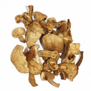 Perrechico Deshidratado laminado