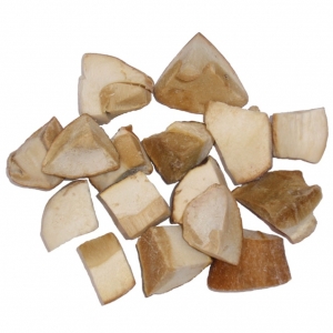 Boletus troceado Extra DeJara congelado  