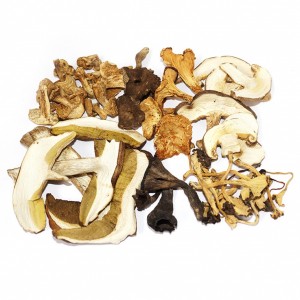 Mezcla de setas deshidratada