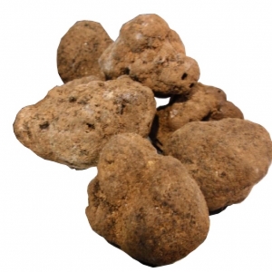 Criadilla de tierra fresca