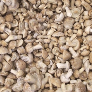 Perrechico Congelado Entero