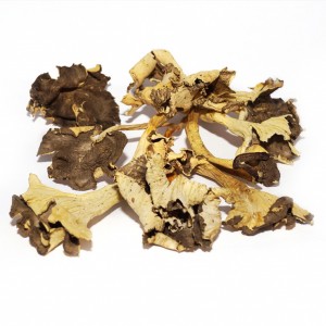 Trompeta Amarilla Deshidratado Entera