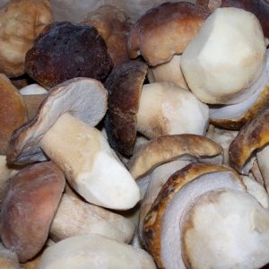 Boletus entero extra DeJara congelado