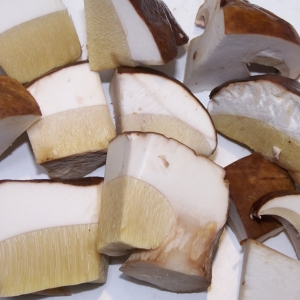 Boletus troceado Extra DeJara congelado  