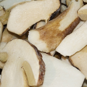 Boletus laminado DeJara congelado
