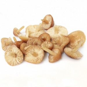 Senderuela Congelada Primera