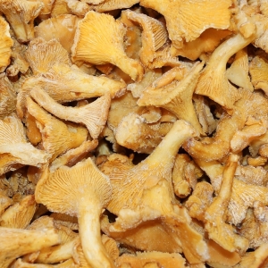 Rebozuelo Congelado Entero