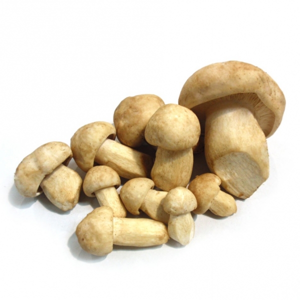 Perrechico Fresco Extra