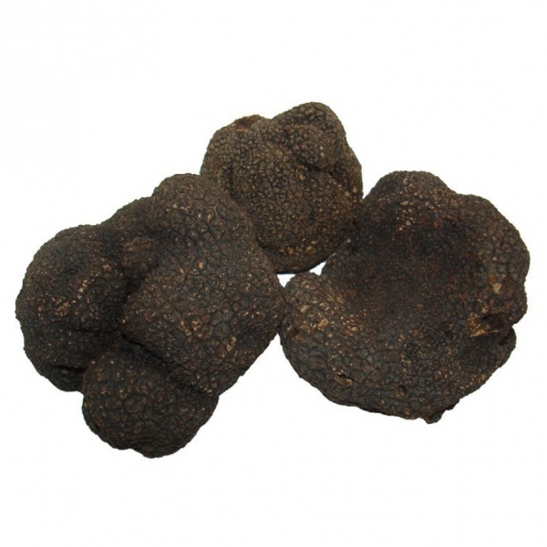 Trufa negra  fresca trozo