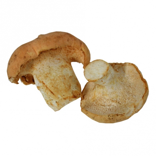 Lengua de Vaca Fresco Primera