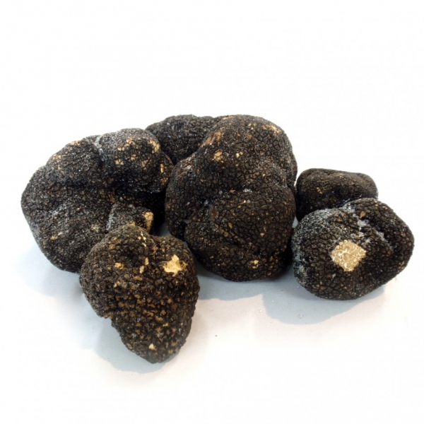 Trufa de verano congelada