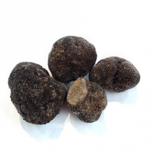 Trufa negra congelada
