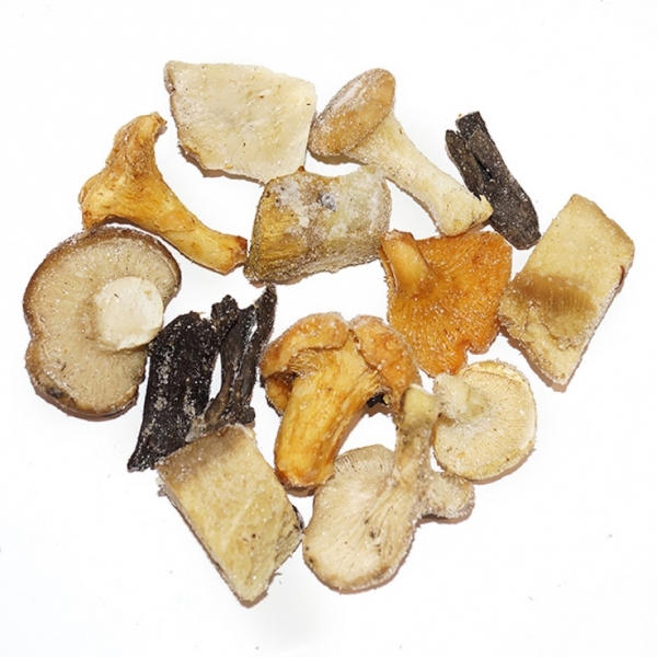 Mezcla forestal congelada