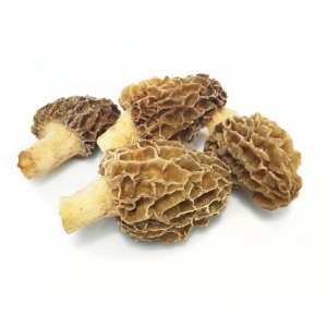 Colmenilla congelada