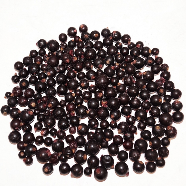 Grosellas Negras Congeladas
