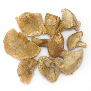 Perrechico congelado trozo