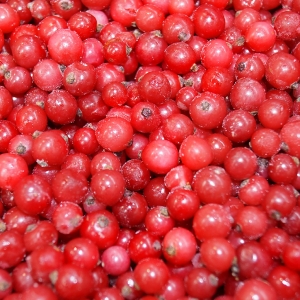 Grosellas rojas congeladas 