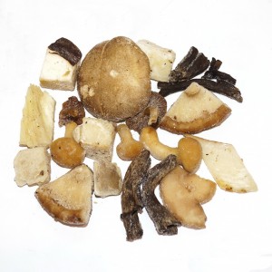 Mezcla de setas silvestre congelada