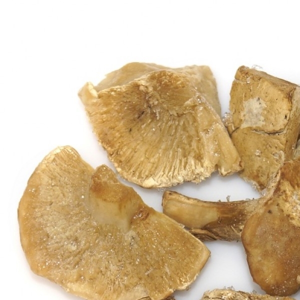 Perrechico congelado trozo