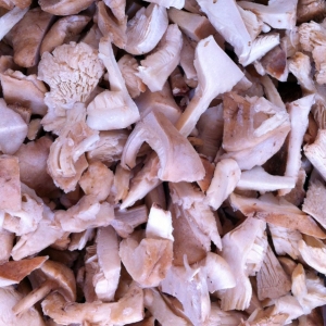 Perrechico congelado trozo