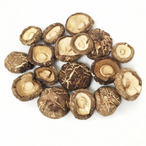 Shiitake Deshidratado Entero