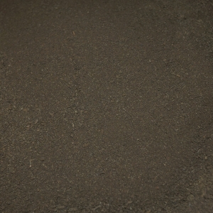 Harina de trompeta negra