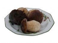 Boletus entero extra
