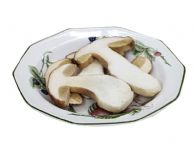 Boletus laminado DeJara