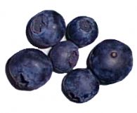 Arandanos Congelados