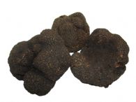 Trufa negra fresca