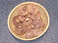 Pie Azul Fresco Silvestre