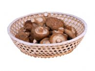 Shiitake Fresco Primera