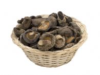 Shiitake Deshidratado Entero