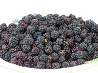  Moras Congeladas